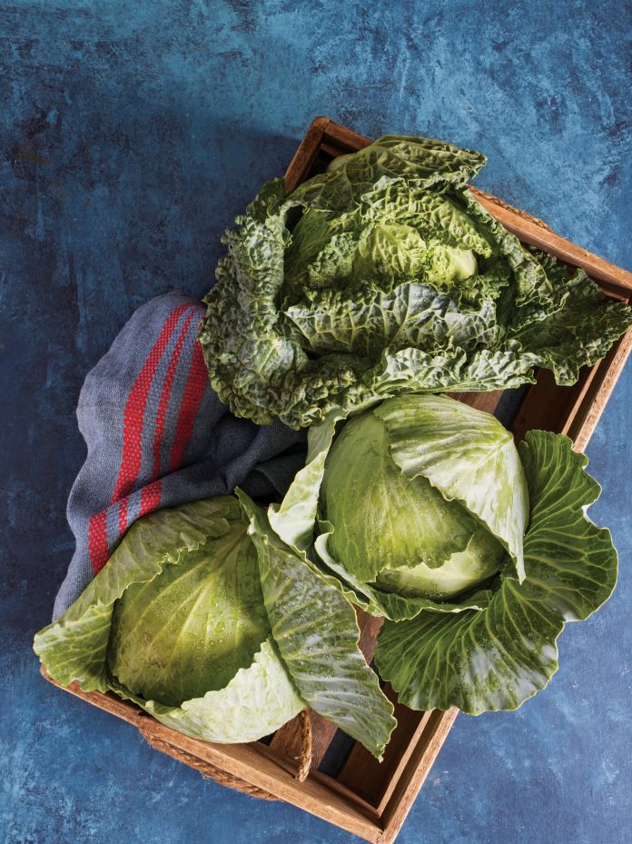 Market Basket: Cabbage